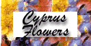 flowers small.gif (5299 bytes)